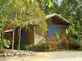 cape tribulation accommodation pk's jungle village