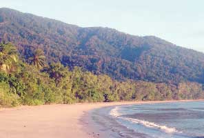 cape tribulation beach