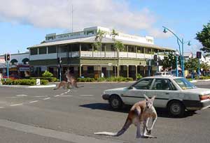 crown hotel in cairns