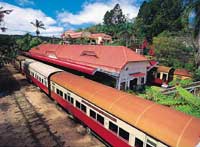 skyrail and kuranda train from cairns