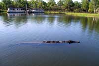 crocodile tours in kakadu