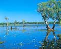 kakadu national park tours northern territory