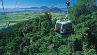 skyrail and kuranda train tour from port douglas