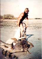 photo of crocodile harry