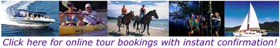 online tour bookings and availability