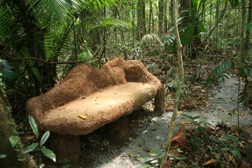 a concrete seat in the jungle