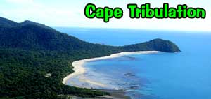 cape tribulation snorkel and dive trips to great barrier reef