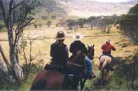 horse riding in australia
