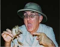 cane toad racing at johnos in cairns