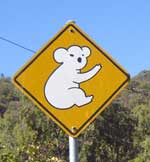 koala warning sign on magnetic island