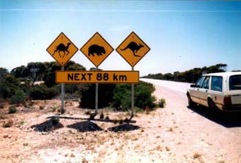 wombat warning signs