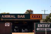animal bar in karumba