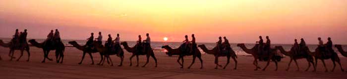 sunset camel ride in broome