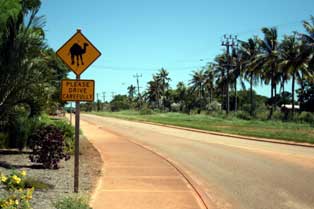 broome camel warning sign