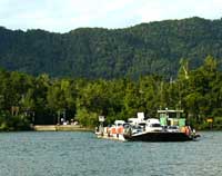 Ferry across the Daintree river