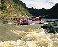 tasmania franklin river