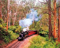 puffing billy victoria
